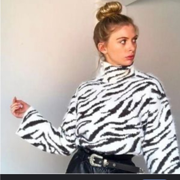 H&M Stand Up Collar Zebra Print Eyelash Fringe sweater - Picture 6 of 6
